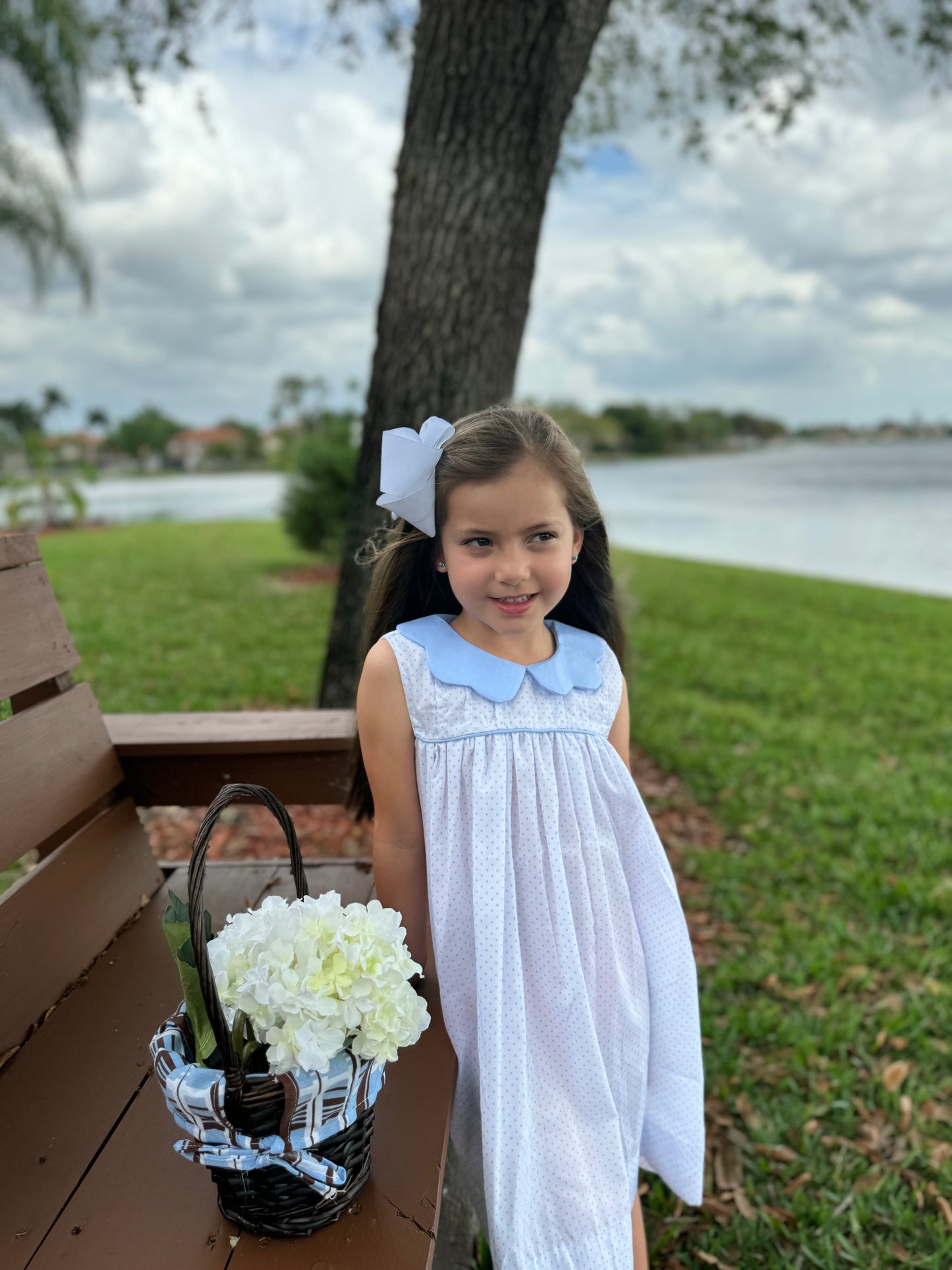 Blue Scallop Collar Dress